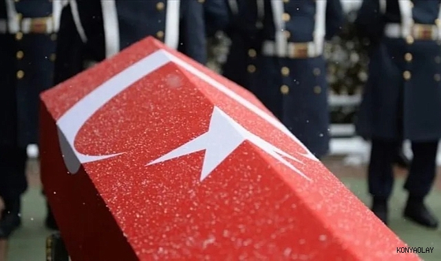 Yalova'da DEAŞ terör örgütüne operasyon: 3 şehit