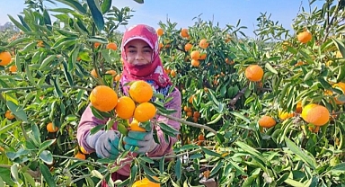 Grip vakaları artıyor; C vitaminini yanlış besinde aramayın 