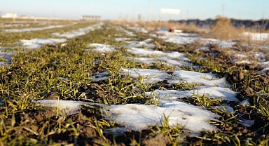 Konya Ovası'nda karsız sezon endişesi 