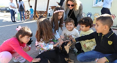 Muğla Büyükşehir 4 bin 34 can dostu sahiplendirdi   