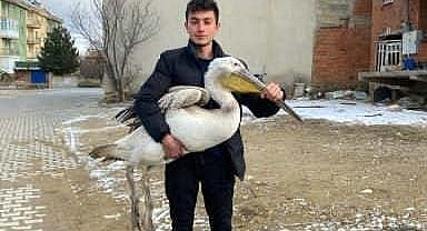 Sokakta gezerken pelikan buldu