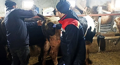  Beyşehir’de şap ile mücadelede çalışmaları   