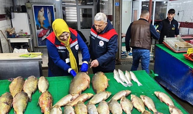 Beyşehir Gölü'nde avcılar denetim altındı   