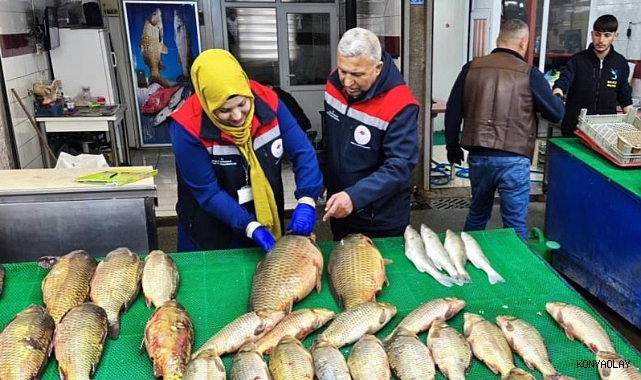 Beyşehir Gölü'nde avcılar denetim altındı   