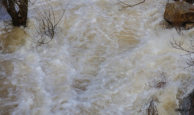 Eriyen kar suları Göksu Nehri'ni coşturdu