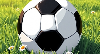 Fenerbahçe Erzurumspor maçı hangi kanalda, nereden izlenir? Fenerbahçe Erzurumspor CANLI izle! 