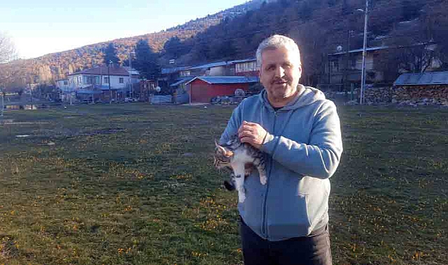 Konya'da aç kalan kediler için 30 kilometre yol gitti