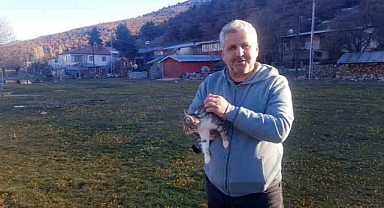 Konya'da aç kalan kediler için 30 kilometre yol gitti