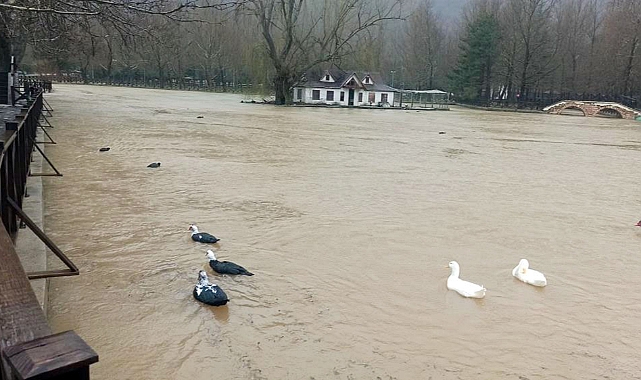 Konya'da yağış sonrası dereler tepeler taşırdı   