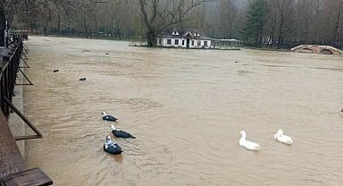 Konya'da yağış sonrası dereler tepeler taşırdı   