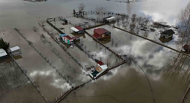 Meriç Nehri taştı tarlalar balıkla doldu