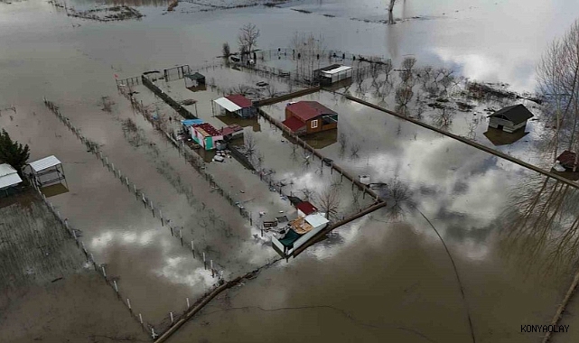 Meriç Nehri taştı tarlalar balıkla doldu