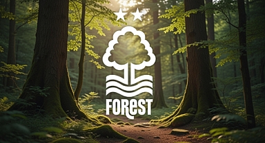 Nottingham Forest kaçıncı sırada, hangi ülkenin takımı, hangi ligde?