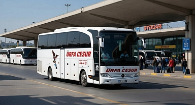 Urfa Cesur neden kapandı mı? Urfa Cesur Turizm'in sahibi kim? Urfa Cesur kaç yaşında? Urfa Cesur Turizm'in kaç otobüsü var?