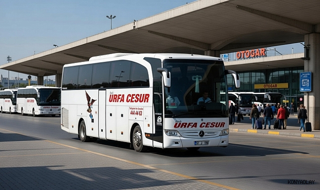 Urfa Cesur neden kapandı mı? Urfa Cesur Turizm'in sahibi kim? Urfa Cesur kaç yaşında? Urfa Cesur Turizm'in kaç otobüsü var?