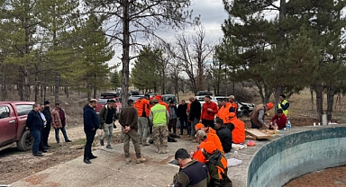 Yaban domuzlarına sürek avı düzenlendi