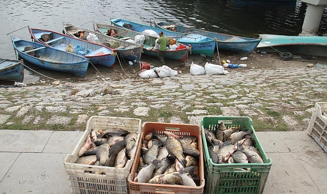  Beyşehir Gölü'nde av yasağı başlıyor 