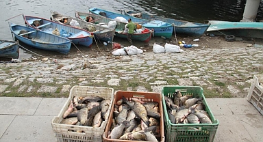  Beyşehir Gölü'nde av yasağı başlıyor 