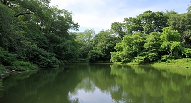 Dsi işçi alımı kura çekimi sonuçları açıklandı mı? Dsi işçi alımı sonuçları (İsim listesi): Dsi işçi alımı sonuçları nasıl öğrenilir?
