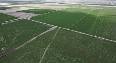Konya'da uzmanından çiftlere hayati uyarı