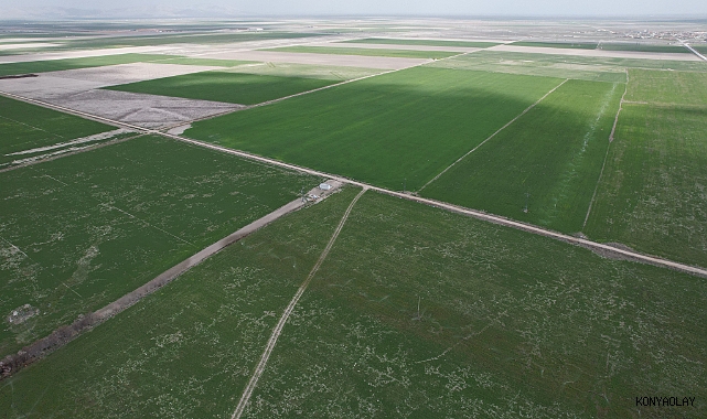 Konya'da uzmanından çiftlere hayati uyarı