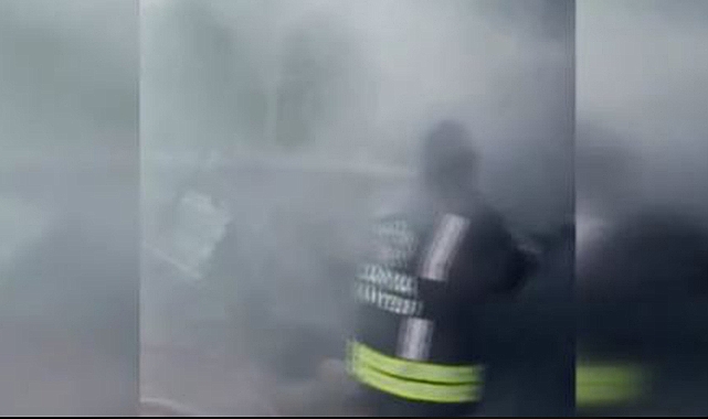 Konya’da yeni doğan buzağılar diri diri yandı