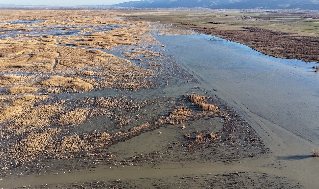 Akşehir Gölü'nde yıllardır görülmeyen oldu