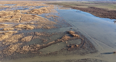 Akşehir Gölü'nde yıllardır görülmeyen oldu