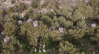 Beyşehir'de yuvalar şenlendi, leylekler vadisi canlandı 