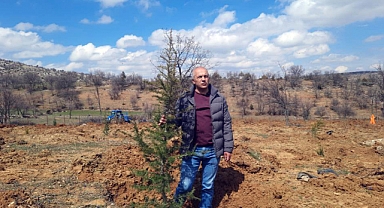 Bozkır'da dev ağaçlandırma projesi  