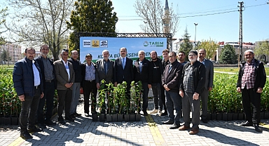 Büyükşehir'den çiftçilere fidan desteği devam ediyor