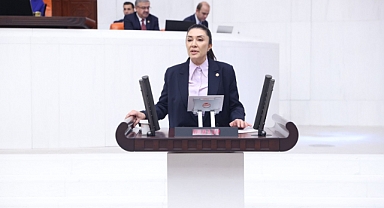 Gazi Meclis'te Ağrı İmzası: Ruken Kilerci Şehrin 