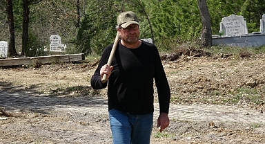 Kedi misali dokuz canlı