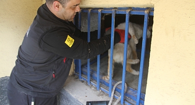 Konya'da açlıktan bitkin düşen kedi itfaiye ekiplerince böyle kurtarıldı