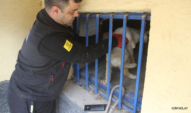 Konya'da açlıktan bitkin düşen kedi itfaiye ekiplerince böyle kurtarıldı