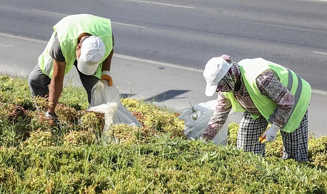 Konya’da dev istihdam atağı! 31 ilçeye personel alınıyor