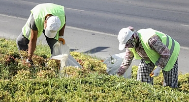 Konya’da dev istihdam atağı! 31 ilçeye personel alınıyor