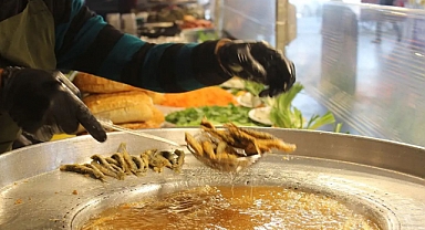 Konya'da hamsi festivalinde hamsi dağıtmadılar, konserler de iptal