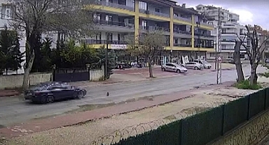 Konya'da yürek burkan olay: Çarpan gitti, yavrusu terk etmedi