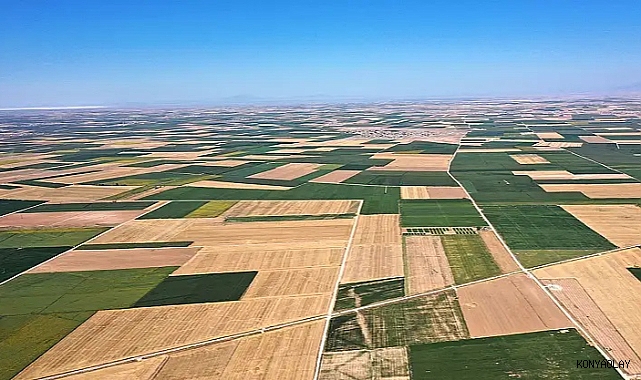 Konya tarımında ‘akıllı’ hamle! Hayvan ölümlerine ‘bilimsel’ set