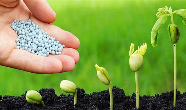 Konyalı çiftlerin beklediği gübreleme tarihini uzmanı açıkladı
