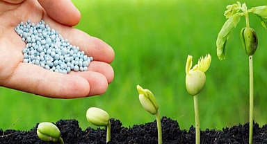 Konyalı çiftlerin beklediği gübreleme tarihini uzmanı açıkladı