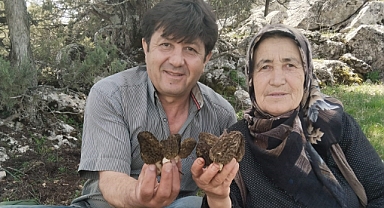 Kuzugöbeği tutkunları