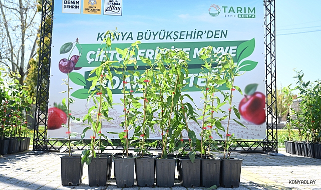 Tarımın başkenti Konya'da çiftçiye dev destek