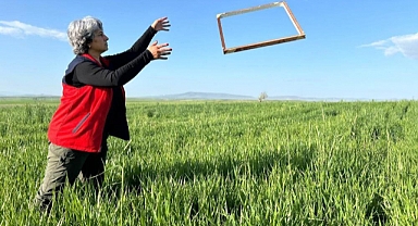 Tarım ürünlerinde rekolteyi arttırmak amacıyla zararlı takibi yapılıyor