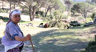 Çobanlığı terk etmeyen sadece Rukiye bacı kaldı   