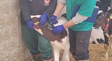 Ilgın’da sağlıklı hayvancılık seferberliği 