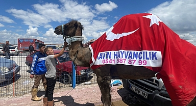 Kurban pazarının gözdesi deve 330 bin TL’ye satıldı