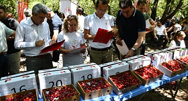 Akşehir'de 'Kiraz Hasat Şenliği' coşkusu