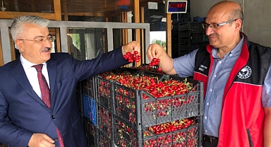 Akşehir Kirazı’nın geleceği sahada değerlendirildi